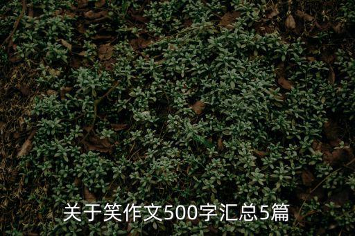 關(guān)于笑作文500字匯總5篇