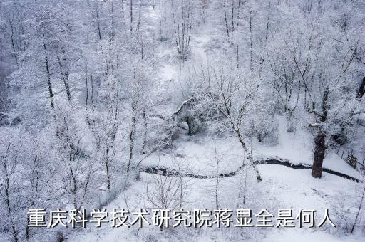 重慶科學(xué)技術(shù)研究院蔣顯全是何人