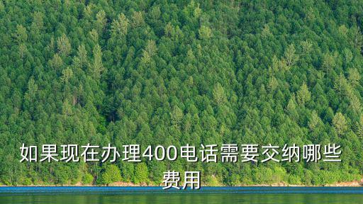 如果現在辦理400電話需要交納哪些費用