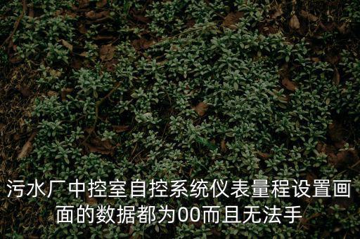 污水廠中控室自控系統儀表量程設置畫面的數據都為00而且無法手