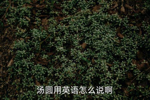 湯圓英文，湯圓用英語怎么說啊