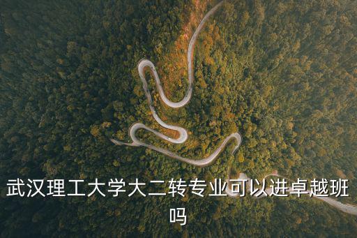 武漢理工大學大二轉(zhuǎn)專業(yè)可以進卓越班嗎