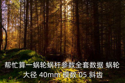 幫忙算一蝸輪蝸桿參數(shù)全套數(shù)據(jù) 蝸輪 大徑 40mm 模數(shù) 05 斜齒