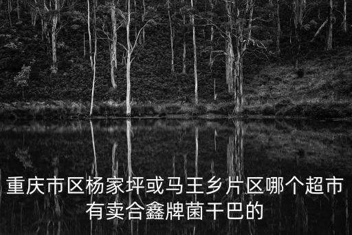 重慶市區(qū)楊家坪或馬王鄉(xiāng)片區(qū)哪個超市有賣合鑫牌菌干巴的