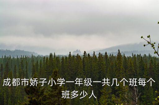 成都市嬌子小學一年級一共幾個班每個班多少人