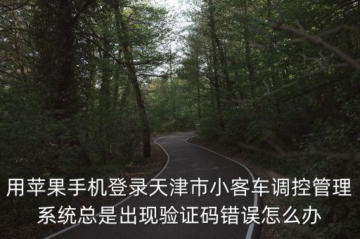 用蘋果手機登錄天津市小客車調控管理系統總是出現驗證碼錯誤怎么辦