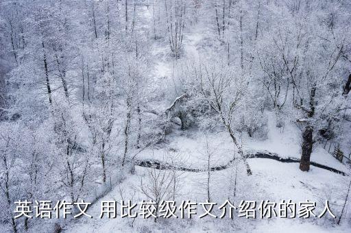 介紹家人的英語作文，介紹家庭人員的英語作文70字帶翻譯