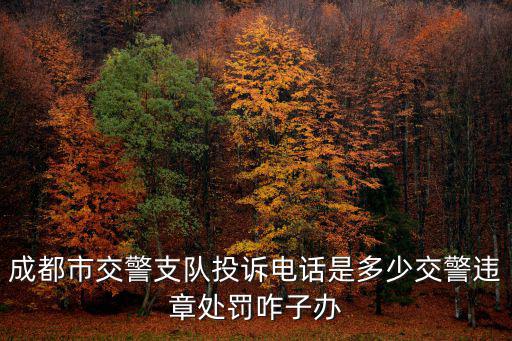 成都市交警支隊投訴電話是多少交警違章處罰咋子辦