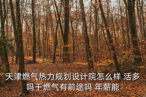 天津燃氣熱力規劃設計院怎么樣 活多嗎干燃氣有前途嗎 年薪能