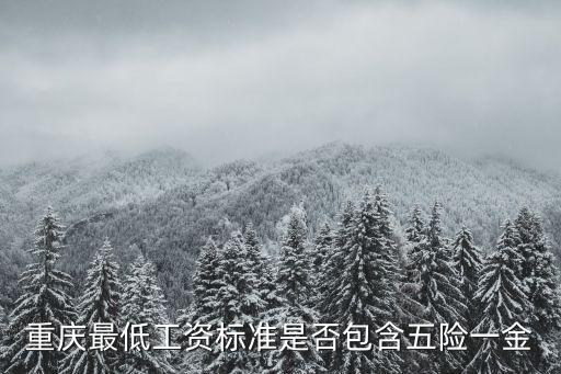 重慶市最低工資標準含不含五險，重慶市個人最低工資標準是否包含個人養老保險