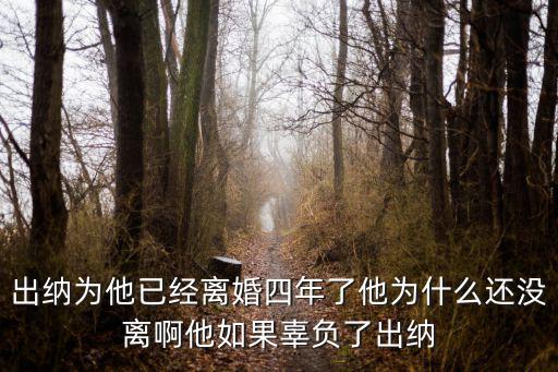 出納為他已經(jīng)離婚四年了他為什么還沒離啊他如果辜負了出納