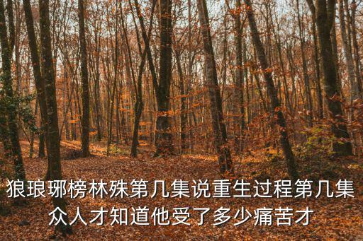 狼瑯琊榜林殊第幾集說重生過程第幾集眾人才知道他受了多少痛苦才