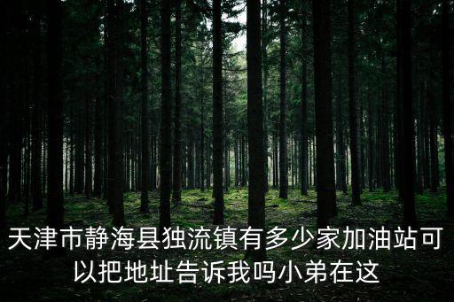 天津市靜海縣獨流鎮有多少家加油站可以把地址告訴我嗎小弟在這