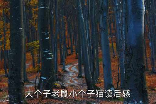 大個子老鼠小個子貓讀后感