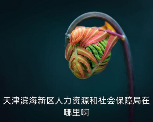 天津市濱海新區(qū)人力社會(huì)局，天津?yàn)I海新區(qū)人力資源和社會(huì)保障局在哪里啊