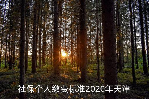 社保個人繳費標準2020年天津