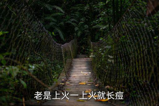 老是上火一上火就長痘