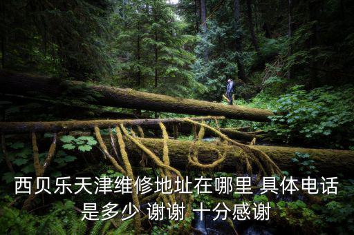 西貝樂天津維修地址在哪里 具體電話是多少 謝謝 十分感謝