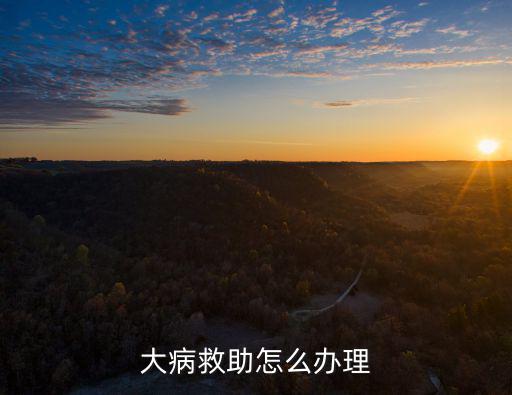 大病救助怎么辦理