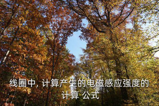 線圈中, 計(jì)算產(chǎn)生的電磁感應(yīng)強(qiáng)度的 計(jì)算 公式