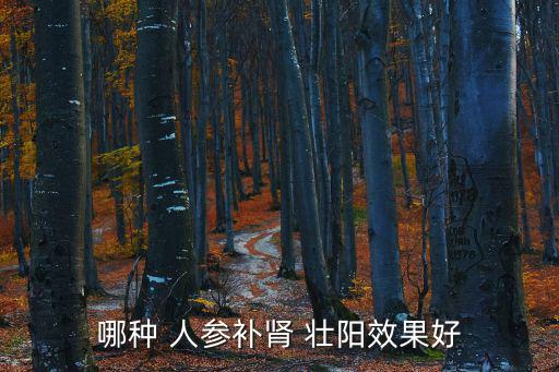 人參能壯陽嗎,采用專利人參蒸制技術減少營養流失