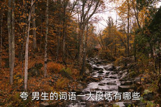 夸男生的詞,kua男生的一段話很長:女生應該形容好詞男生