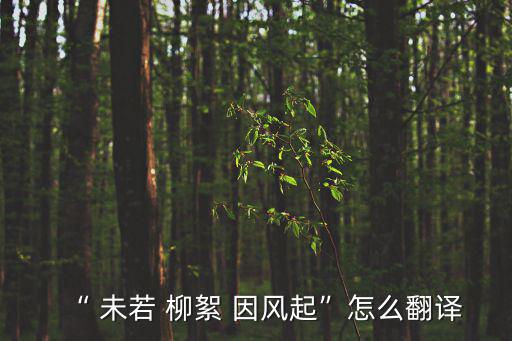 “ 未若 柳絮 因風起”怎么翻譯