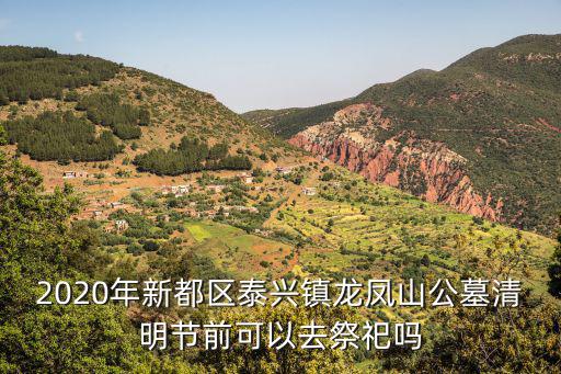 成都市新都區龍鳳山公墓預約，右足底內側跖附近痛