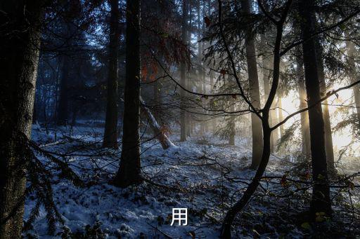引人矚目,第二集:引人矚目的星空