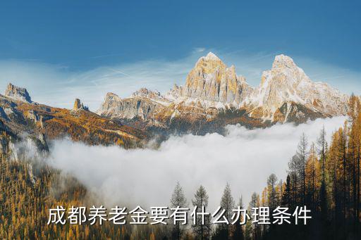 成都養老金要有什么辦理條件