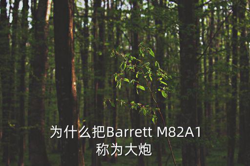 為什么把Barrett M82A1稱為大炮