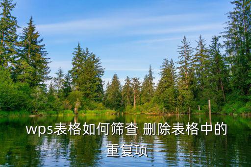 wps刪除重復項,如何使用wps中刪除重復項?