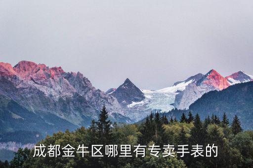 成都金牛區(qū)哪里有專賣手表的