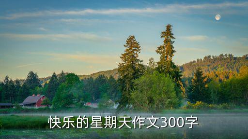 快樂的星期天作文300字