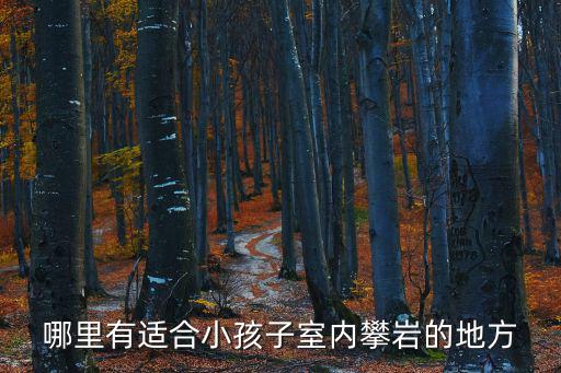 哪里有適合小孩子室內攀巖的地方