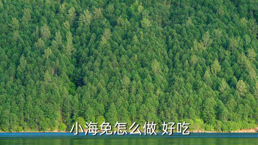 小海兔怎么做好吃