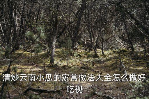 清炒云南小瓜的家常做法大全怎么做好吃視