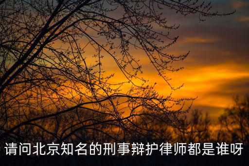 請問北京知名的刑事辯護律師都是誰呀