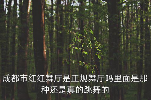 成都市紅紅舞廳是正規舞廳嗎里面是那種還是真的跳舞的
