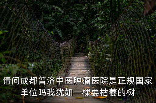 請問成都普濟中醫腫瘤醫院是正規國家單位嗎我猶如一棵要枯萎的樹