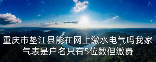 重慶市墊江縣能在網上繳水電氣嗎我家氣表是戶名只有5位數但繳費