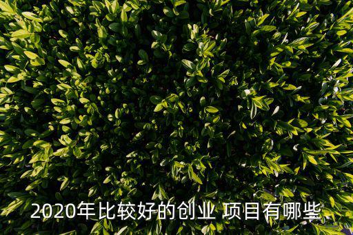 好的項目,2020年前景看好的行業之一餐飲行業為例