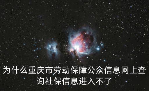 為什么重慶市勞動保障公眾信息網上查詢社保信息進入不了