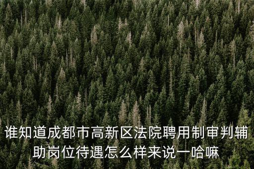 誰知道成都市高新區法院聘用制審判輔助崗位待遇怎么樣來說一哈嘛