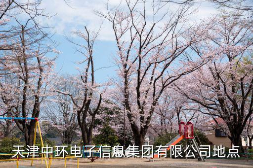 天津市中環(huán)電子照明科技有限公司，天津中環(huán)電子有限責任公司待遇怎么樣