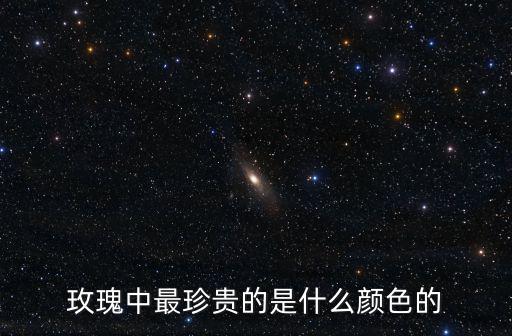 玫瑰花真實(shí)照片大圖,彩虹玫瑰是什么?原來(lái)是這樣