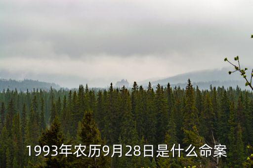1993年農歷9月28日是什么命案