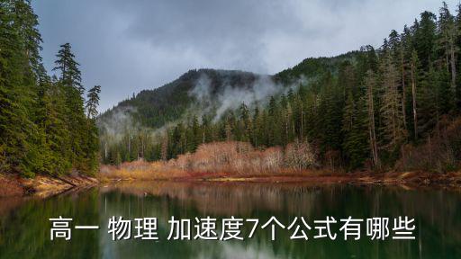  高一 物理 加速度7個公式有哪些
