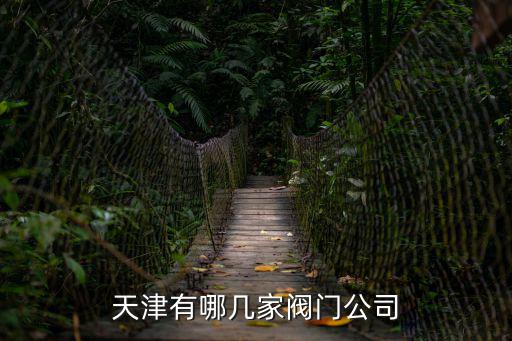 天津有哪幾家閥門公司