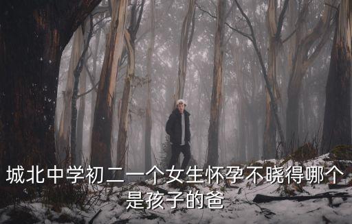 城北中學(xué)初二一個(gè)女生懷孕不曉得哪個(gè)是孩子的爸